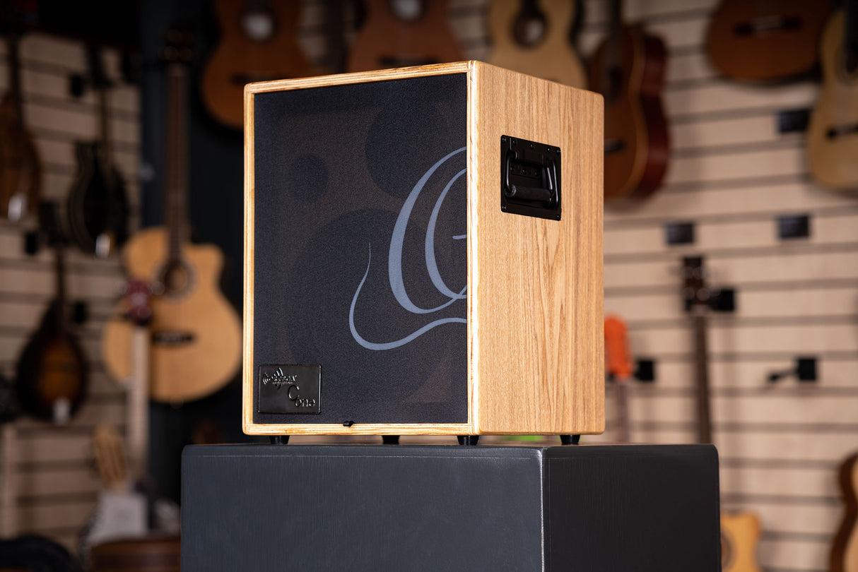 ORTEGA CONE ASH Acoustic Amplifier Combo