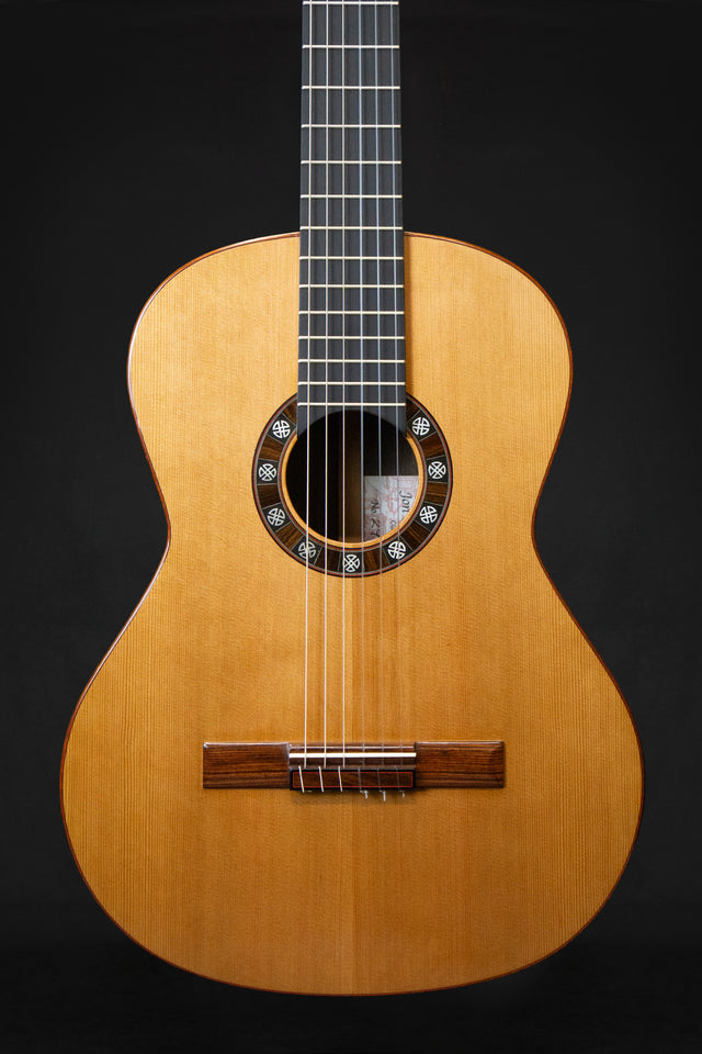 Jon Pinsky Handmade Classical Acoustic No.29