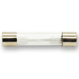 10 Amp Glass Fuse - Parts - WM Guitars