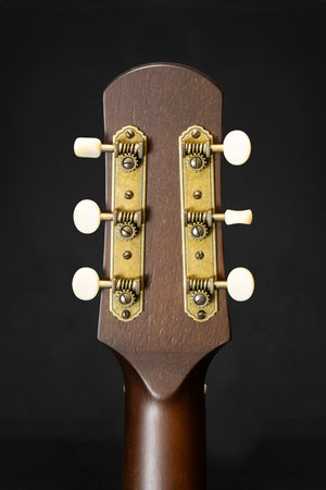 Iris DF Burst Model Sloped Shouldered Dreadnaught Acoustic Guitar