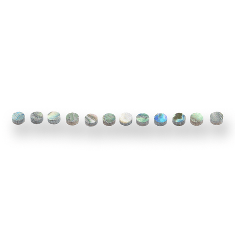 Abalone Dot Fretboard Inlays x12 (Various Sizes) - Parts - WM Guitars