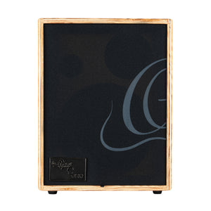 ORTEGA CONE ASH Acoustic Amplifier Combo