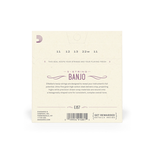 D'Addario Banjo 5 String Nickel Plated Steel Custom Medium - Banjo Strings - D'Addario