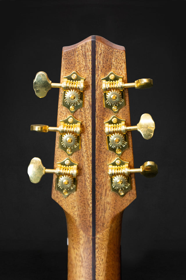Dowina Cocobolo III BV Master Series Parlour Acoustic Guitar (Cedar & Cocobolo) - Acoustic Guitars - Dowina