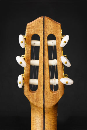 Dowina Granadillo OM - H Master Series Hybrid Guitar (Cedar & Granadillo) - Acoustic Guitars - Dowina
