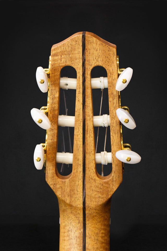 Dowina Granadillo OM - H Master Series Hybrid Guitar (Cedar & Granadillo) - Acoustic Guitars - Dowina