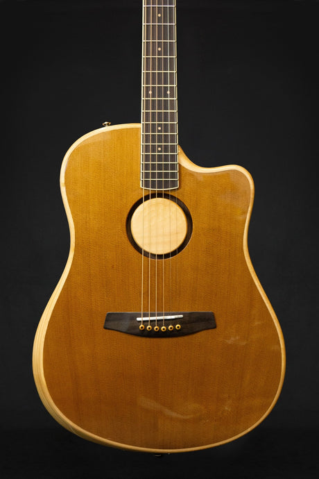 LR Baggs AEG - 1 Electro - Acoustic Guitar - Acoustic Guitars - LR Baggs