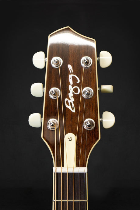 LR Baggs AEG - 1 Electro - Acoustic Guitar - Acoustic Guitars - LR Baggs