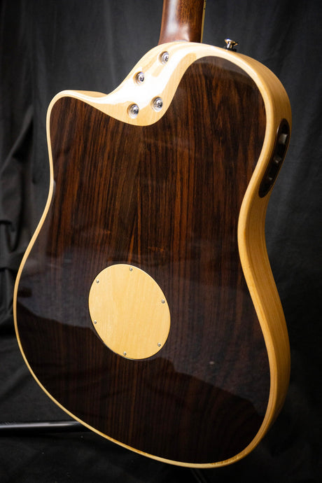 LR Baggs AEG - 1 Electro - Acoustic Guitar - Acoustic Guitars - LR Baggs