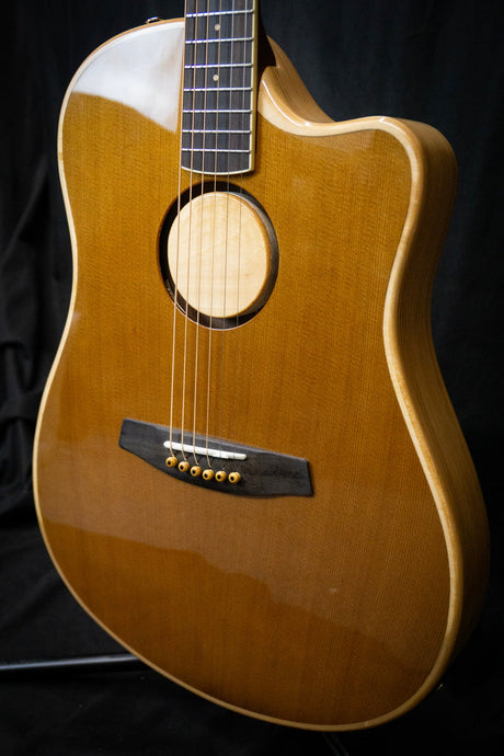 LR Baggs AEG - 1 Electro - Acoustic Guitar - Acoustic Guitars - LR Baggs