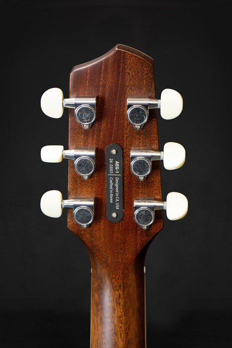 LR Baggs AEG - 1 Electro - Acoustic Guitar - Acoustic Guitars - LR Baggs