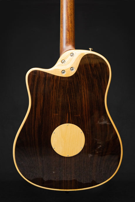 LR Baggs AEG - 1 Electro - Acoustic Guitar - Acoustic Guitars - LR Baggs
