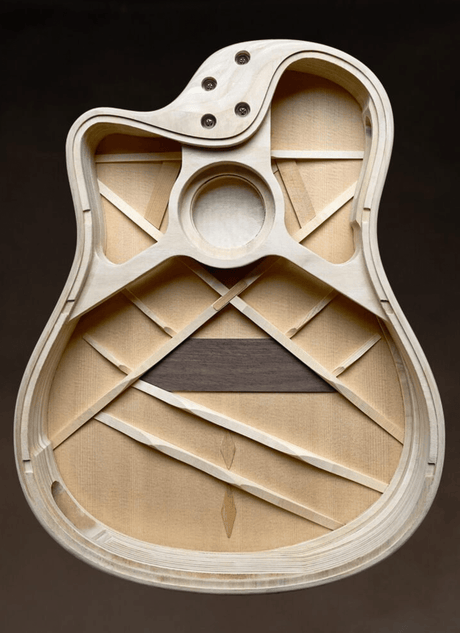LR Baggs AEG - 1 Electro - Acoustic Guitar - Acoustic Guitars - LR Baggs