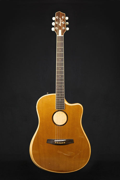LR Baggs AEG - 1 Electro - Acoustic Guitar - Acoustic Guitars - LR Baggs