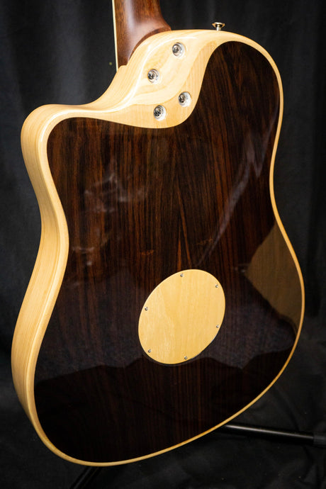 LR Baggs AEG - 1 Electro - Acoustic Guitar - Acoustic Guitars - LR Baggs