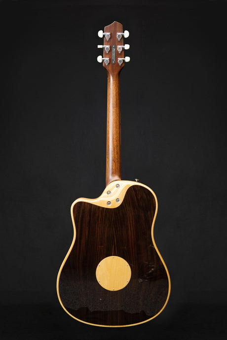 LR Baggs AEG - 1 Electro - Acoustic Guitar - Acoustic Guitars - LR Baggs