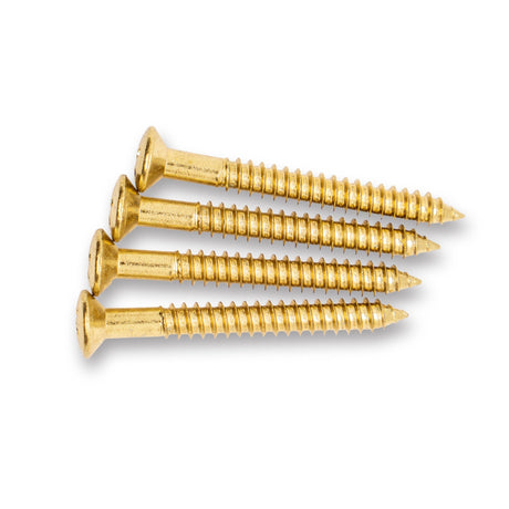 Neck Plate & Screws Set (Gold) - Parts - WM Guitars