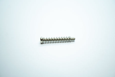 Pickup Screws & Springs (Nickel) x 2 - WM Guitars