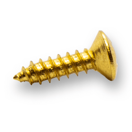 Scratchplate Screws x 1 - Various Colours Available - WM Guitars
