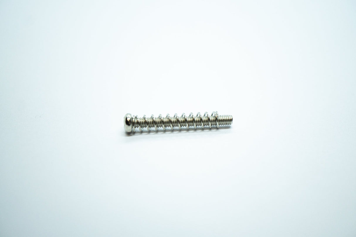 Threaded Pickup Screws & Springs (Nickel) x 2 - Parts - WM Guitars